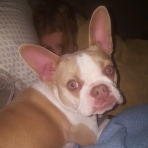 Meet your Posher, Shannon